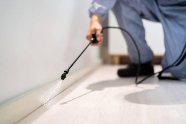 Licensed Mosquito Control service in Brownsville, OR - Show Me Pest Control