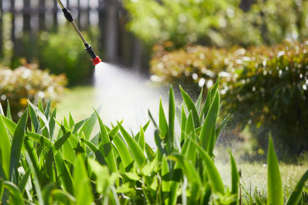 24/7 Emergency Mosquito Control experts in Brownsville, OR