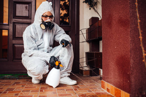 Reliable Mosquito Control contractor in Brownsville, OR by Show Me Pest Control