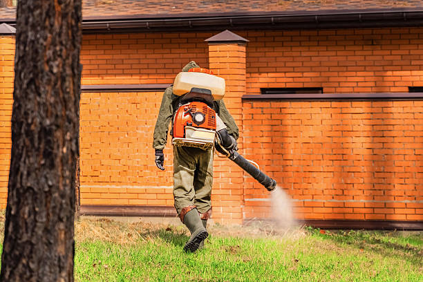 Top rated local Mosquito Control specialists in Brownsville, OR
